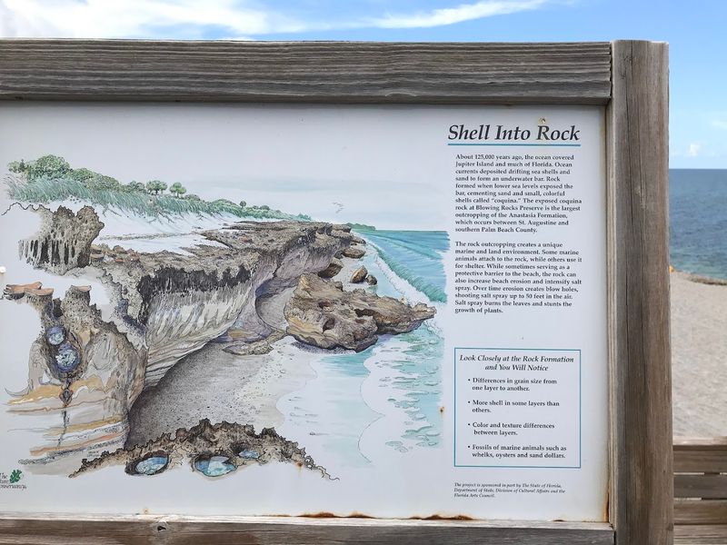 The Education Center Offers Exhibits About Coastal Ecosystems The Education Center Offers Exhibits About Coastal Ecosystems