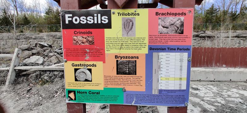 The Educational Side of the Park
