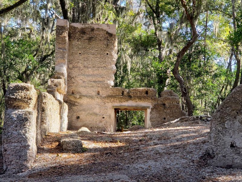 The Eerie Beauty Of The Old Lands End Plantation Site