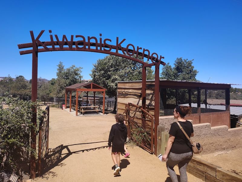 Special Animal Treats And Enrichment Activities