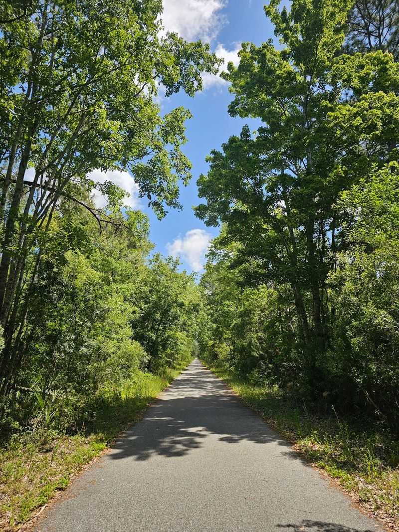 The Eight-Mile Trail Itself The Eight-Mile Trail Itself