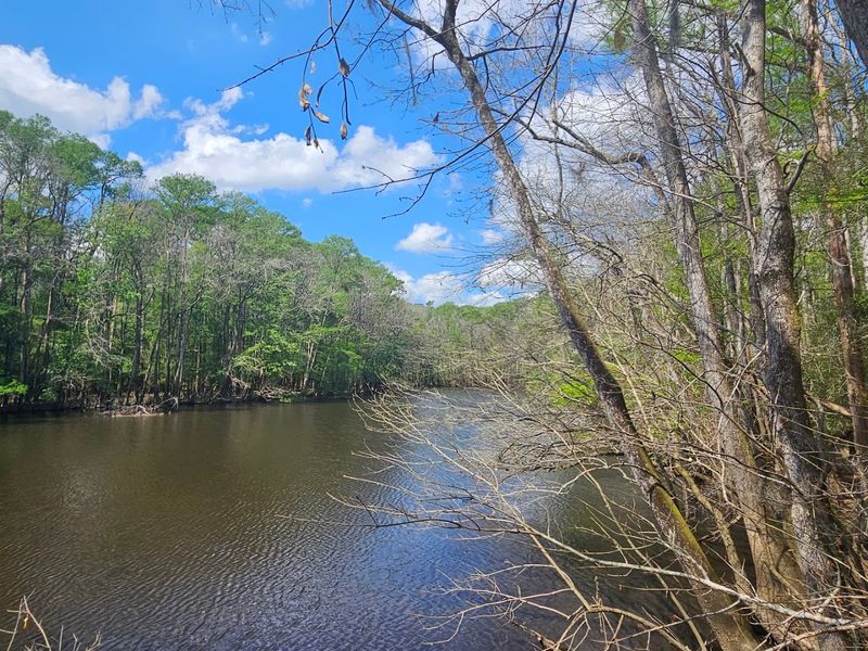 The Elevated Boardwalk Trail Makes Wildlife Viewing Incredibly Easy