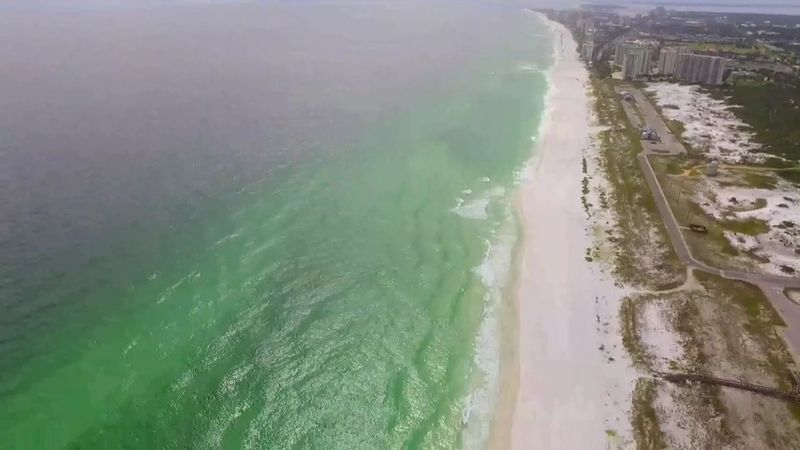 The Emerald Coast Label Is Earned, Not Just Marketing The Emerald Coast Label Is Earned, Not Just Marketing