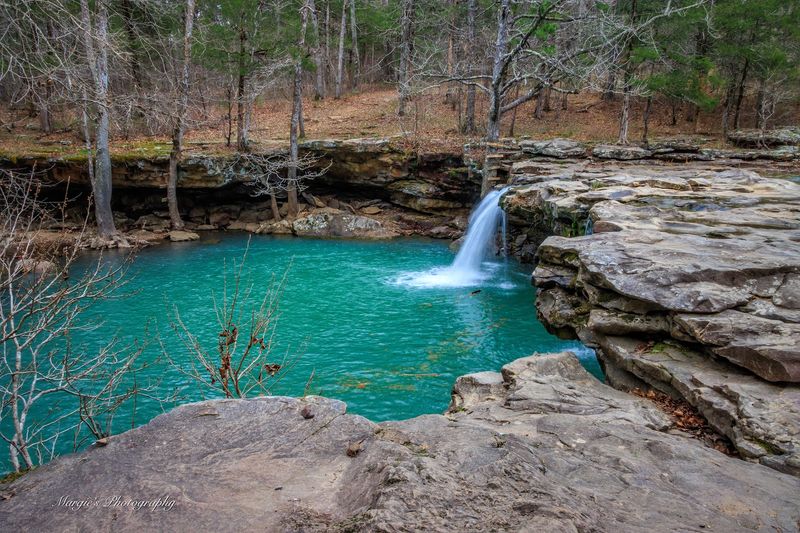 A Forest Hideaway Where The Water Glows Green