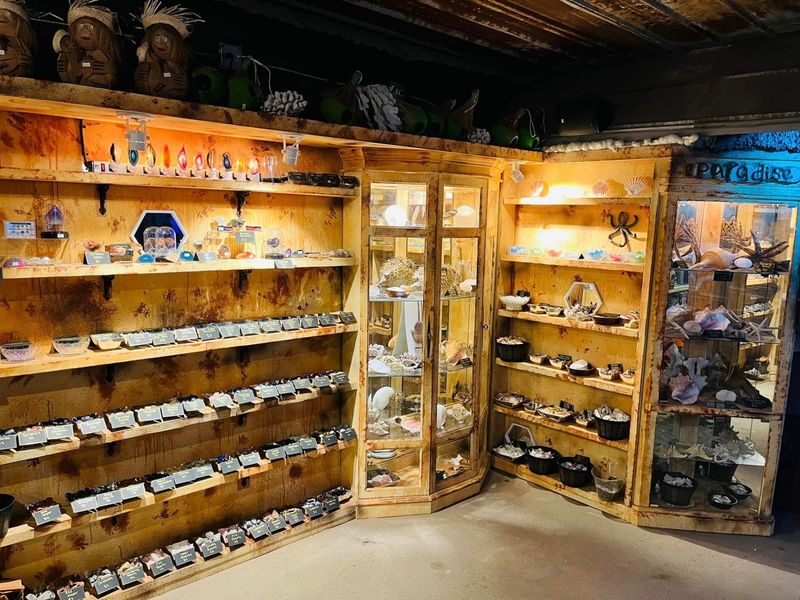 The Emporium Of Curiosities And Oddities