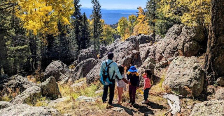 The Enchanting Arizona Forest Trail That Looks Too Magical To Be Real