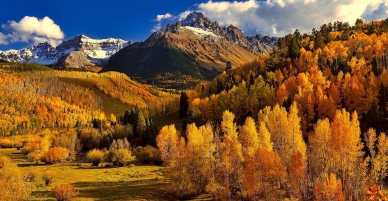 The Enchanting Colorado Forest Trail That Looks Too Magical To Be Real