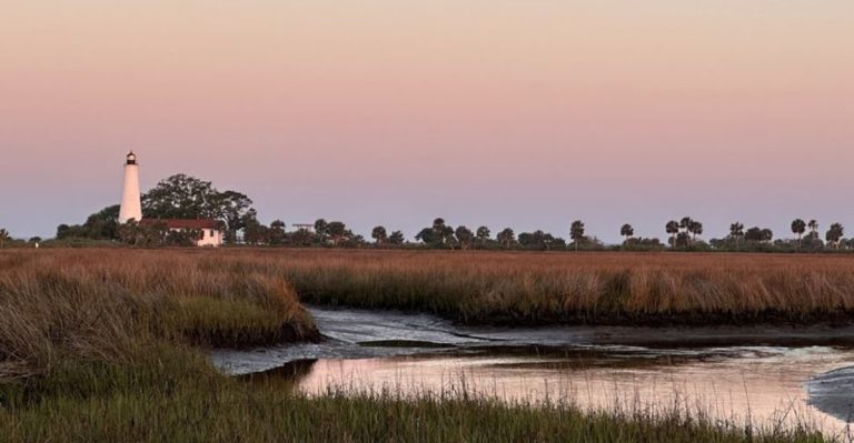 The Enchanting Half-Mile Hike In Florida That Leads To An Iconic Beach And A Gorgeous Lighthouse