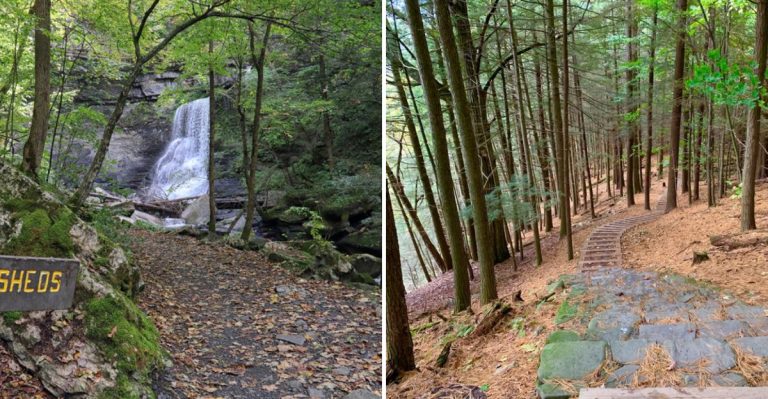 The Enchanting New York Forest Trail That Looks Straight Out Of A Dream