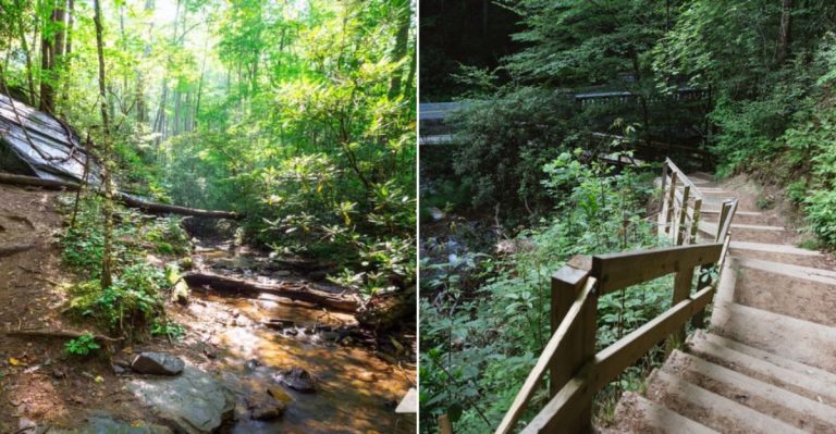The Enchanting North Carolina Forest Trail That Feels Pulled From A Fairy Tale