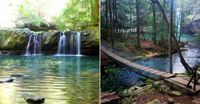 The Enchanting Tennessee Forest Trail That Feels Like A Hidden Fairy-Tale Path
