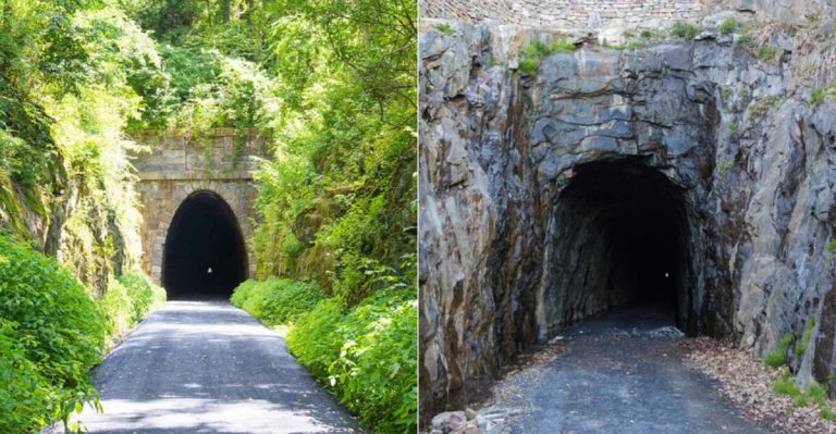 The Enchanting Virginia Forest Trail That Looks Like It Belongs in a Movie