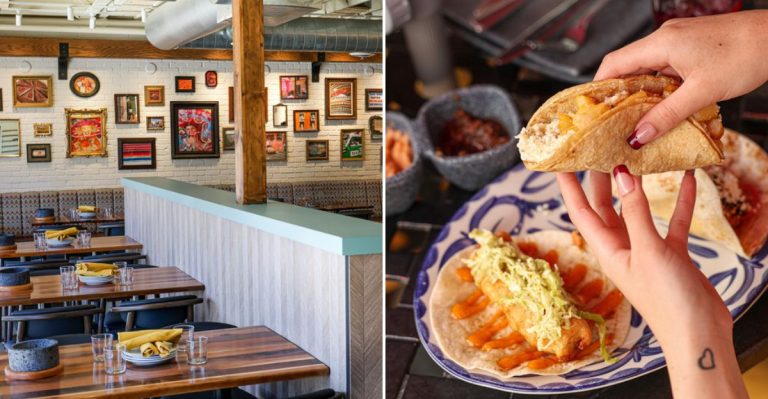 The Enchiladas At This Authentic Illinois Restaurant Are So Good You’ll Seriously Think You’re In Mexico City