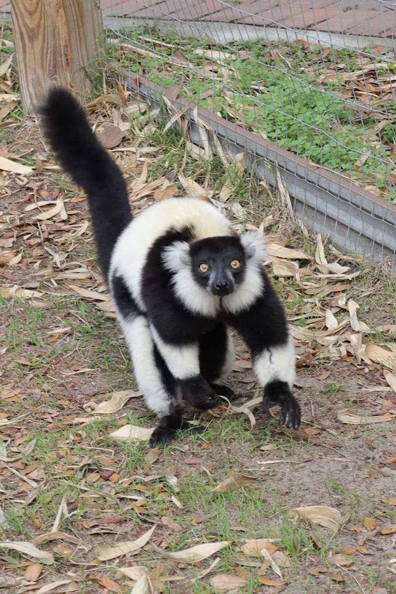 Overnight Stays At The On-Site Hacienda Make It A Full Destination