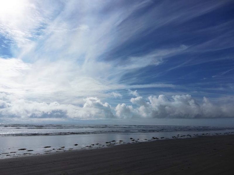 The Endless Stretch of Grayland Beach