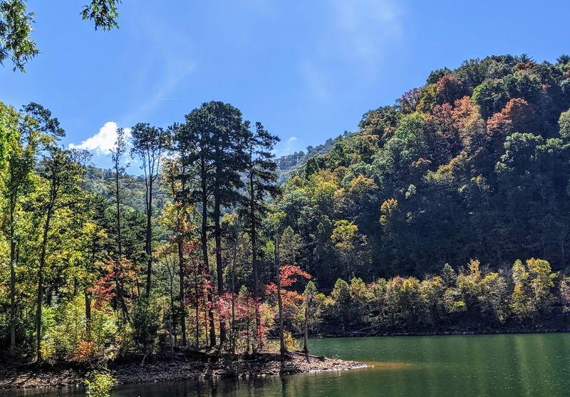 Swimming In Water So Clear It Feels Unreal
