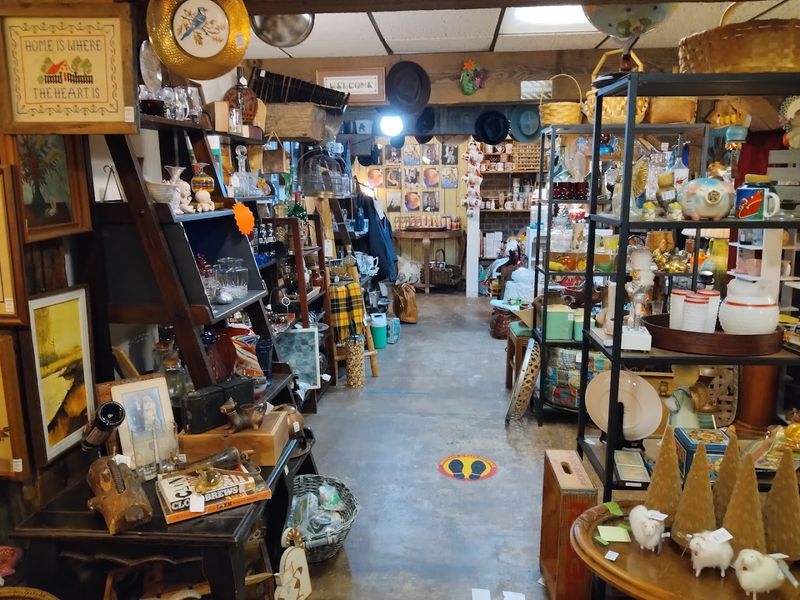 A Must Visit Arkansas Tradition