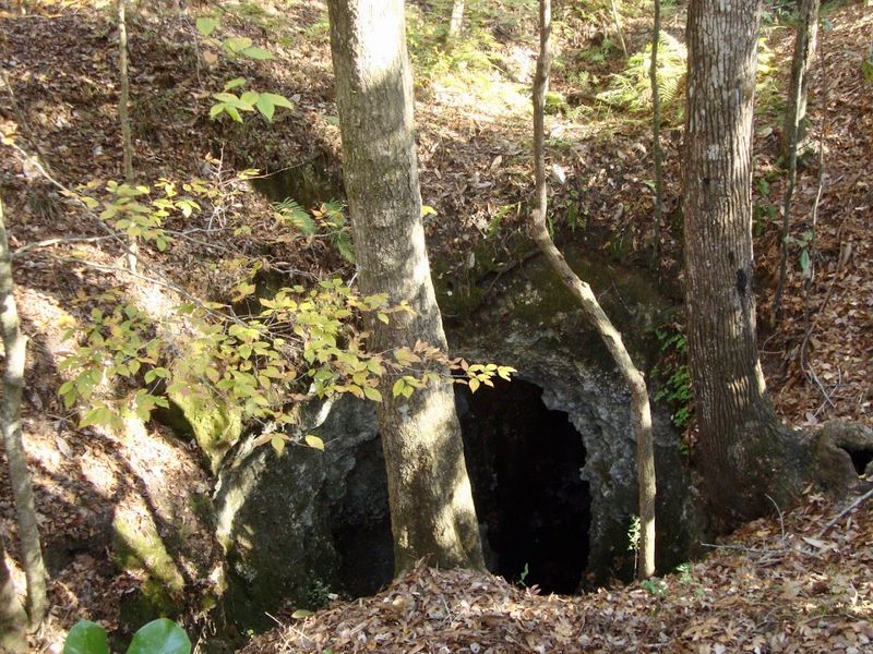 Ancient Sinkholes Dot The Landscape Like Craters From Another World