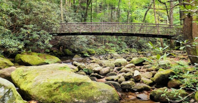 The Extraordinary State Park In South Carolina That Somehow Remains A Hidden Secret