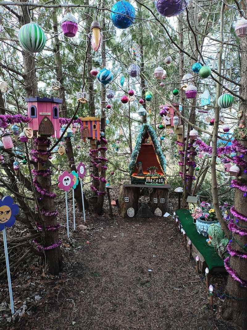 The Fairy Forest