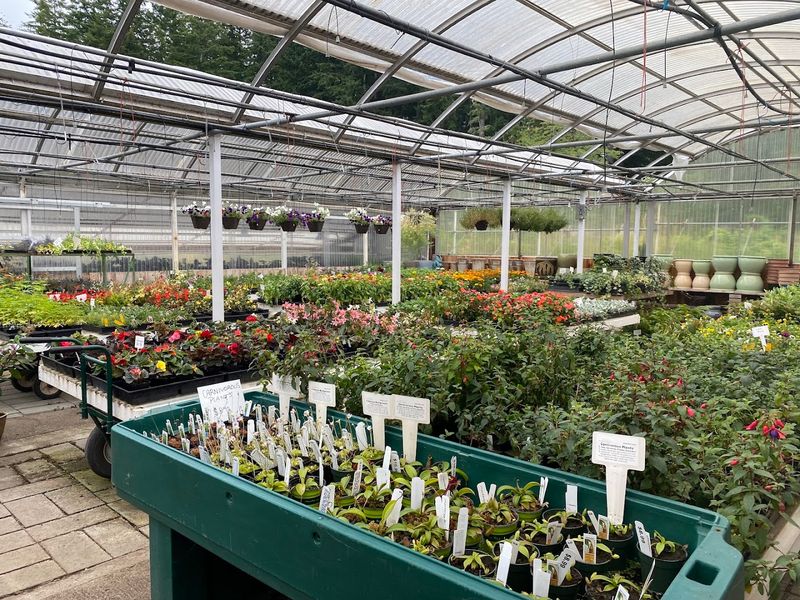 Seasonal Plant Collections And Rare Finds