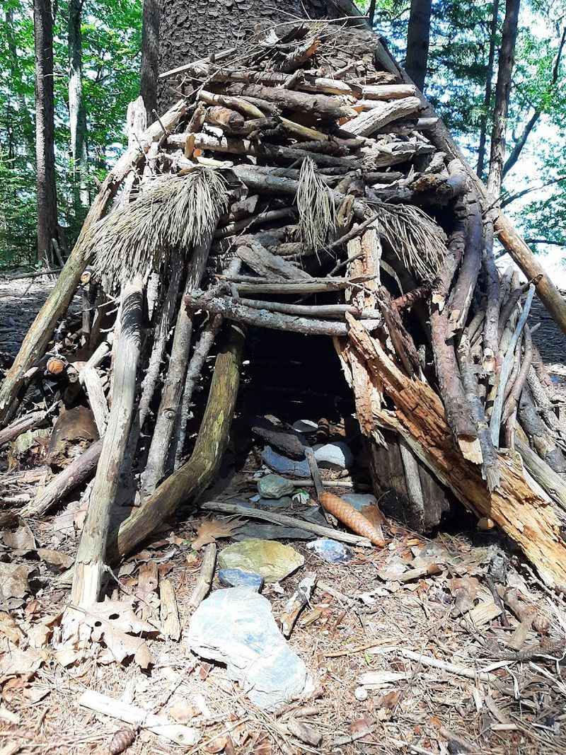 The Fairy-House Forest