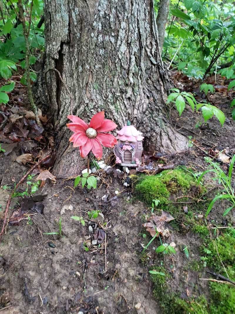 The Fairy Trail Hiding Along The Creek The Fairy Trail Hiding Along The Creek
