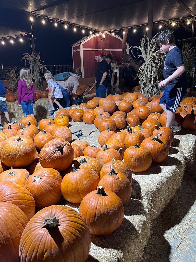 The Fall Festival That Draws the Crowds