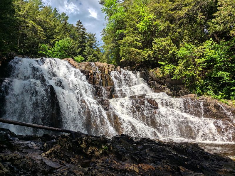 The Falls Steal The Show The Falls Steal The Show