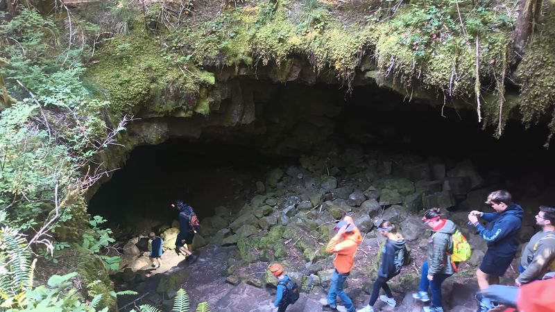 The Family-Friendly Lower Cave The Family-Friendly Lower Cave