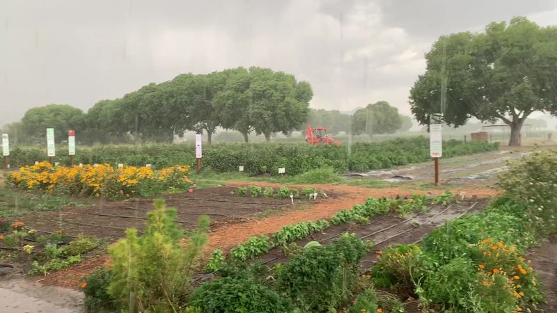 Planning Your Spring Visit