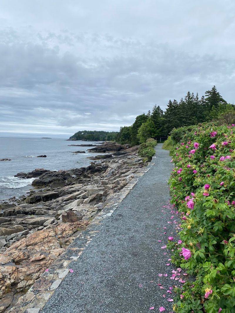 Easy And Accessible For All Fitness Levels