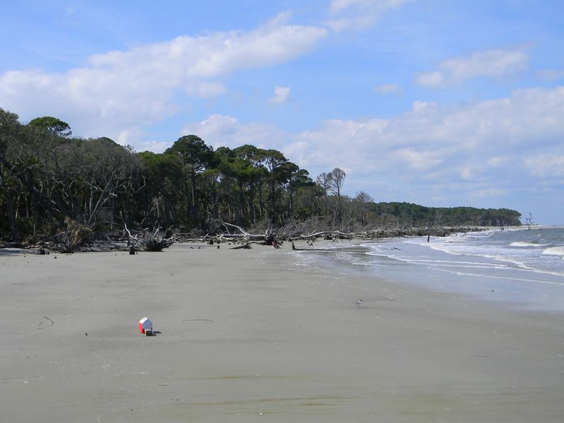 The Famous Boneyard Beach Is Unlike Anything Else