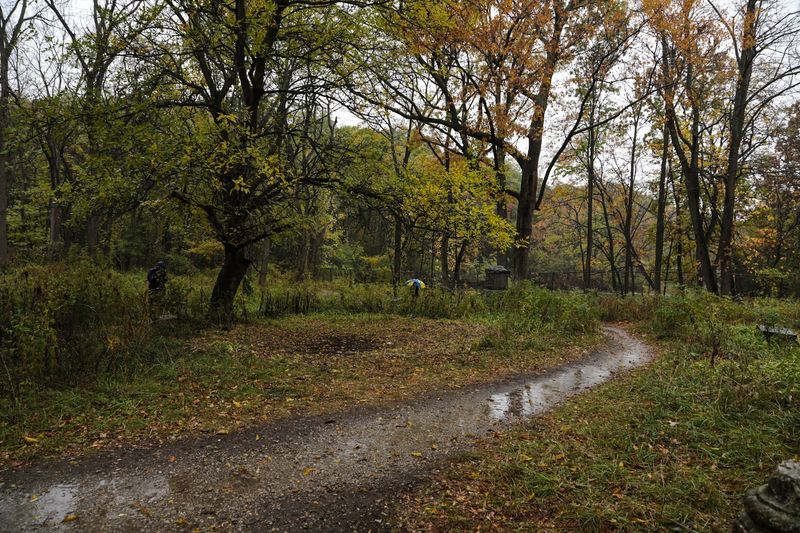 Reported Orbs And Strange Lights 