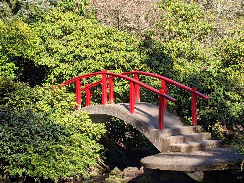 The Famous Moon Bridge