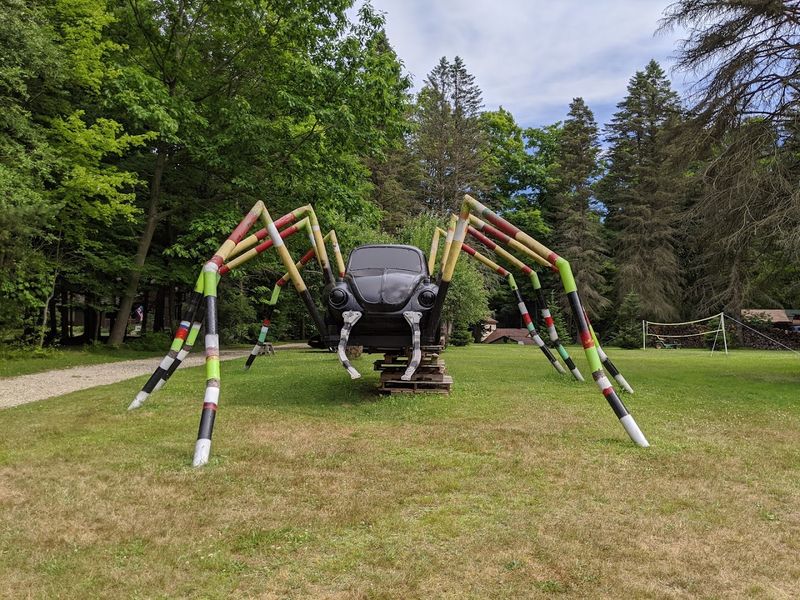 The Famous VW Bug Spider The Famous VW Bug Spider