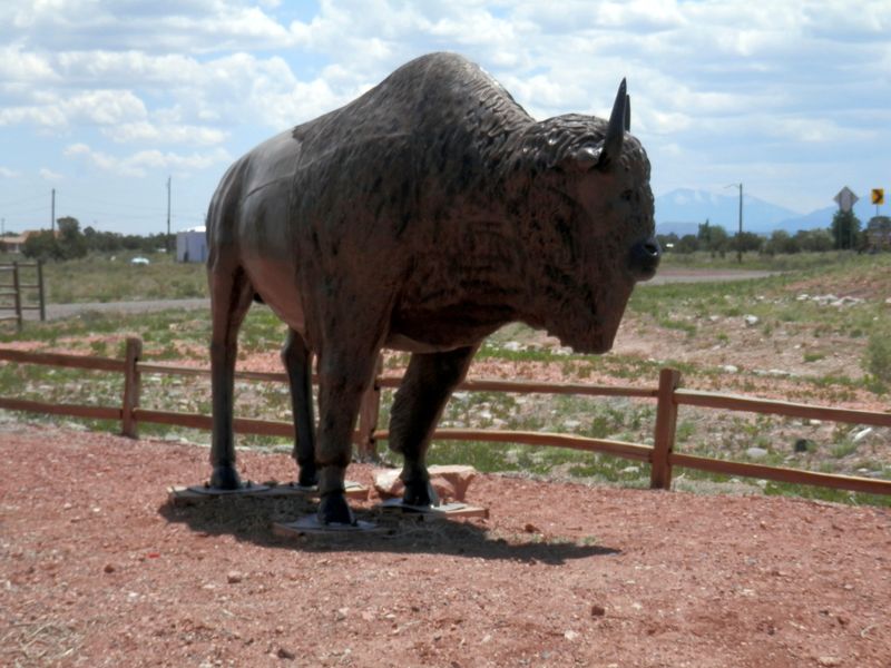 The Williams, Arizona Setting