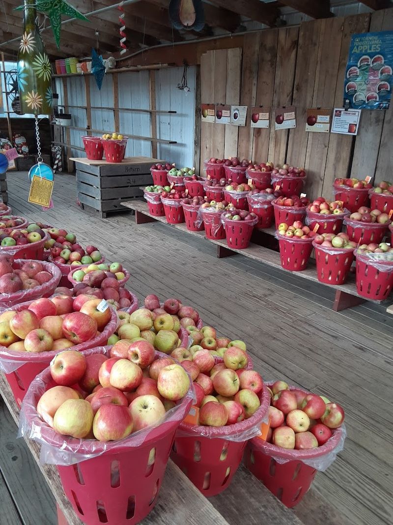 Apple Cider Donuts Paved The Way For The Blueberry Version