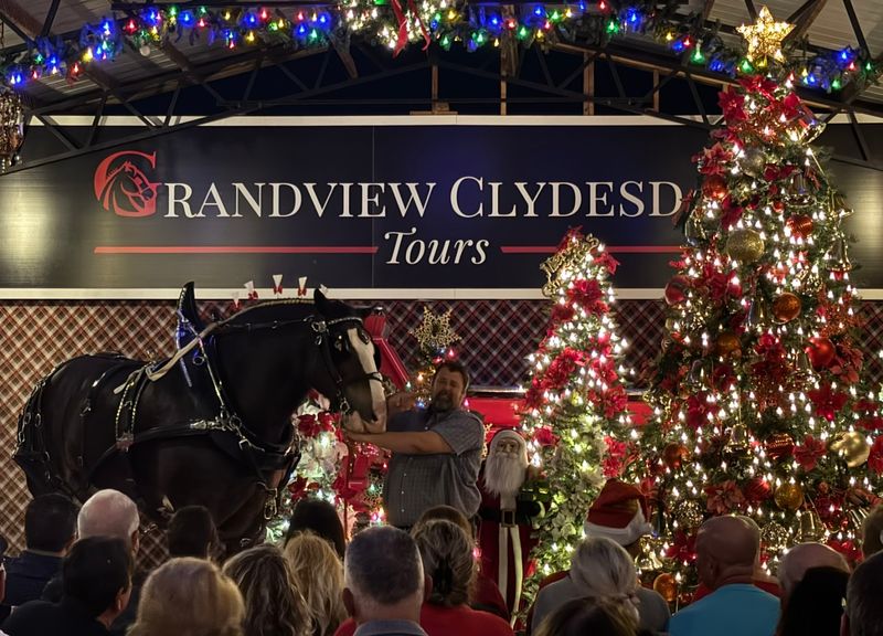 The Farm Also Offers A Magical Christmas Tour That Visitors Return For Every Year