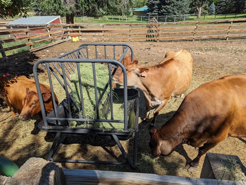 The Farm At Lee Martinez Park