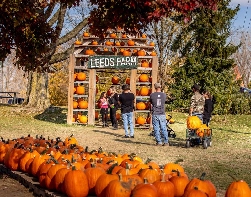 The Farm Behind The Hype