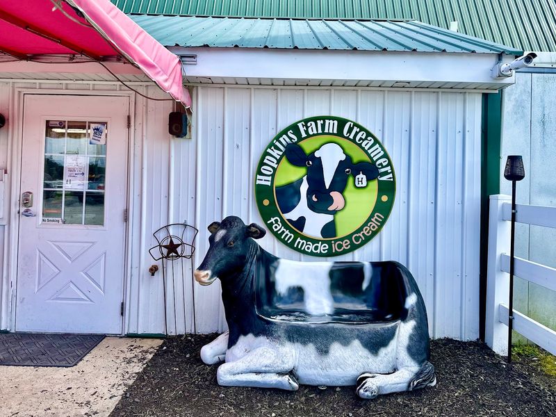The Farm Experience Beyond The Ice Cream Window