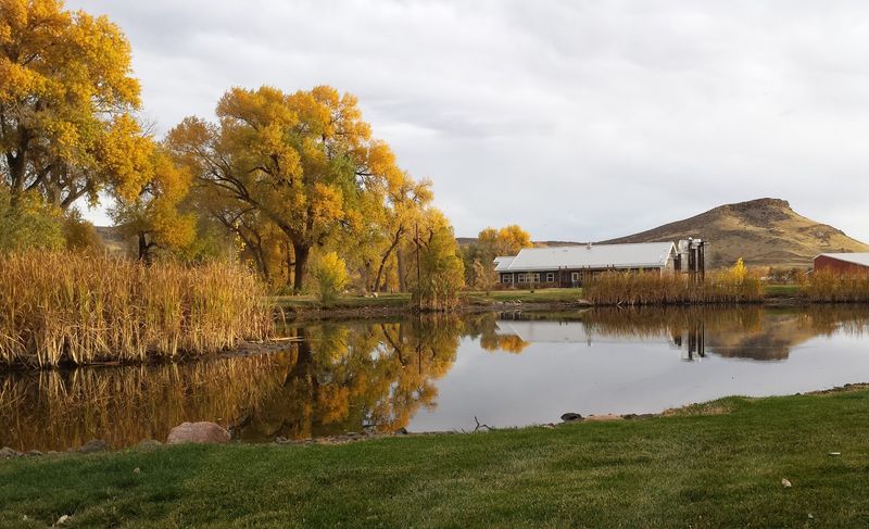 The Farm Grounds, Pond, And Outdoor Space Worth Exploring