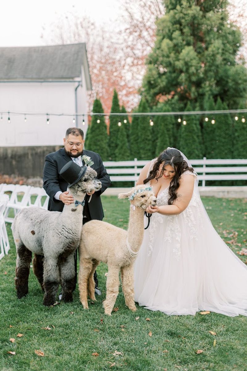 The Farm Hosts Events and Private Celebrations The Farm Hosts Events and Private Celebrations