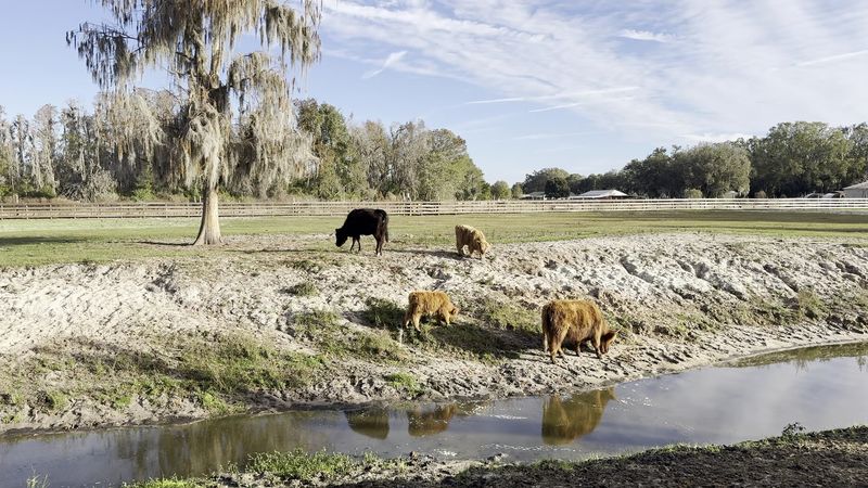 Educational Value That Kids And Adults Both Appreciate