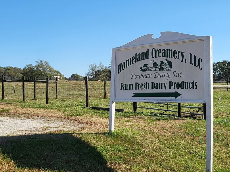 Find It Right In The Heart Of Julian