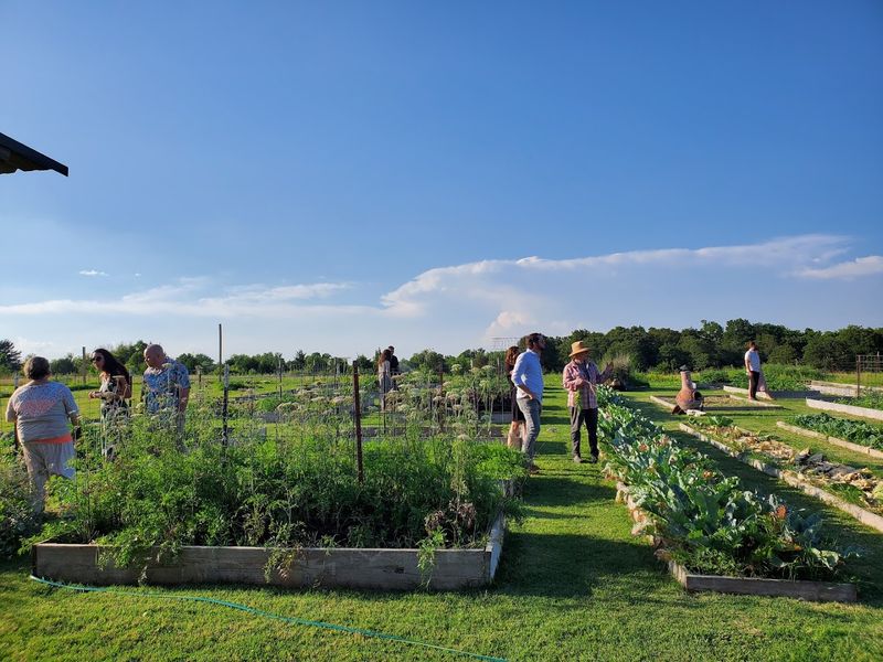 The Farm Itself Is The Star Of The Show