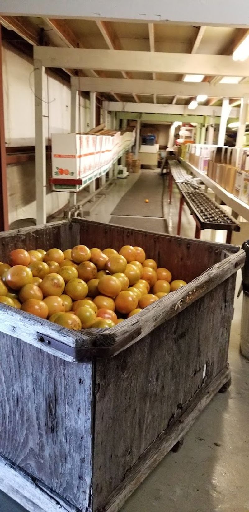 Fruit Can Be Shipped Directly To Family And Friends
