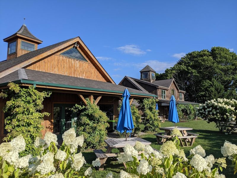 The Farm Market Is A Treasure Hunt You Did Not Know You Needed
