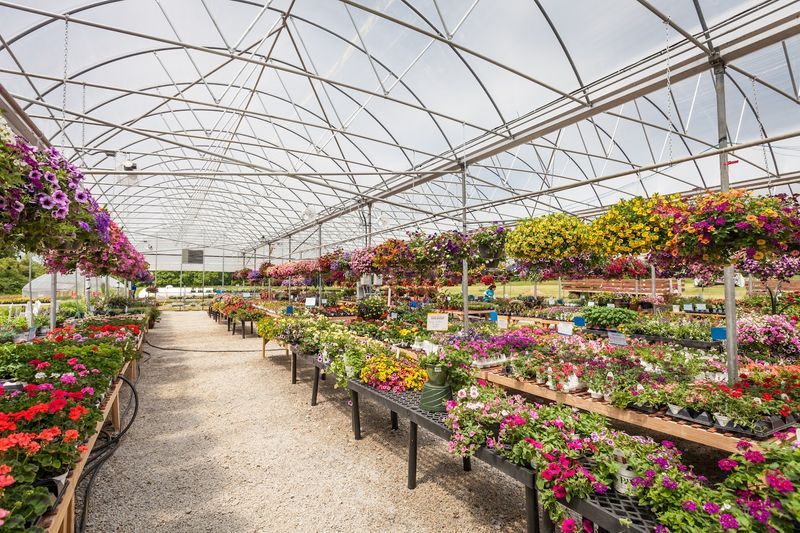 The Farm Market and Garden Center